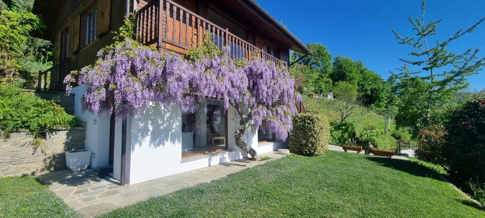 Chalet Sophie - Luxury Chalet Roletto Buitenkant foto
